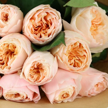 15 пионовидных роз в крафте