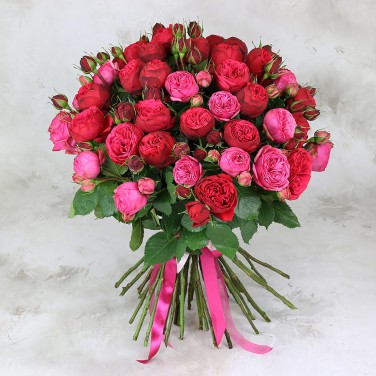 51 красная пионовидная роза