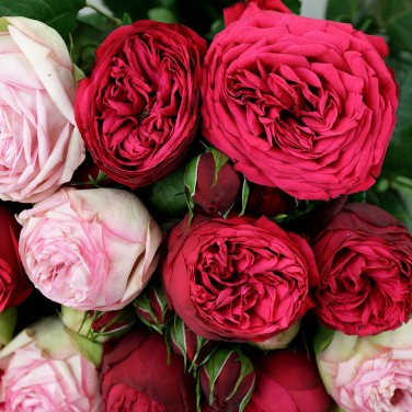 Букет из пионовидных роз