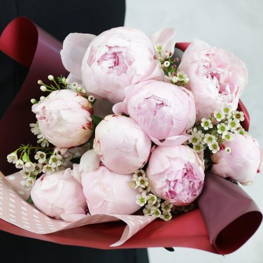 Пионы и хамелациум в упаковке Нежная Сара