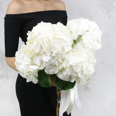 Букет из белых гортензий