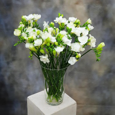 Фрезии в вазе