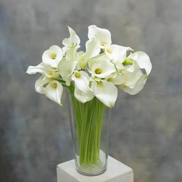 Каллы в вазе