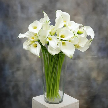 Каллы в вазе