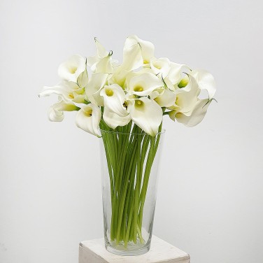 Каллы в вазе