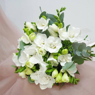 Моно-букет из белоснежных фрезий