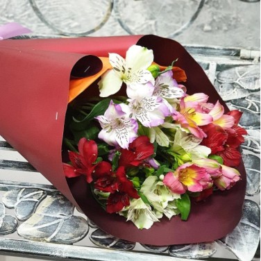 Веселые Альстромерии