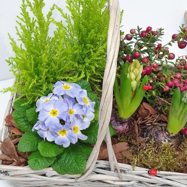 Корзина с горшечными цветами Скоро лето