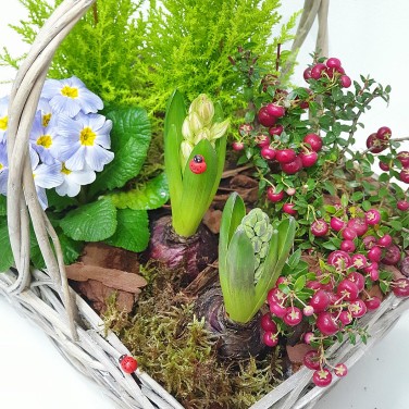 Корзина с горшечными цветами Скоро лето