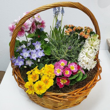 Яркая корзина горшечных цветов