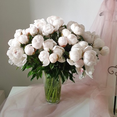 51 Белый пион охапка