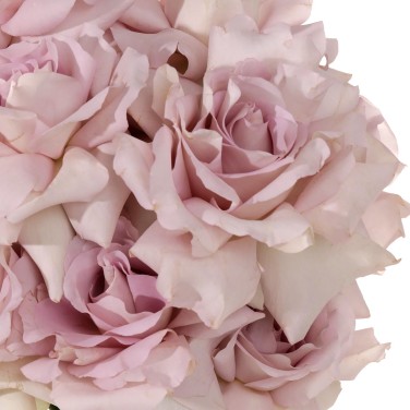 Букет невесты Модный приговор