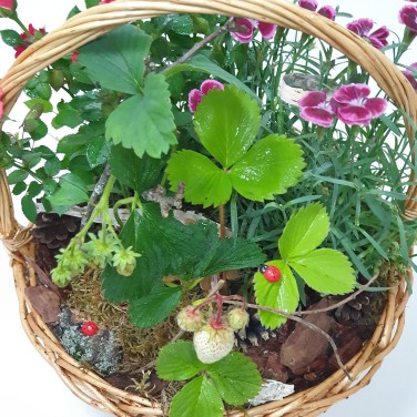 Земляничная поляна композиция в корзине