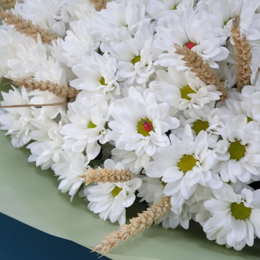 Полевой гигант