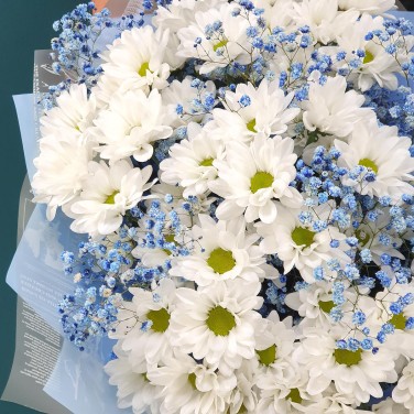 Голубая высота