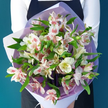 Светлый привет из альстромерий