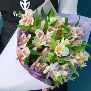 Светлый привет из альстромерий