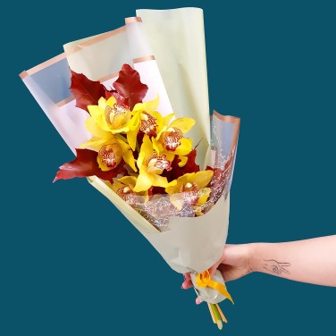 Желтая орхидея в упаковке