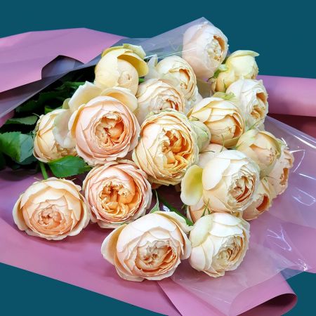 Пионовидные кустовые розы в упаковке