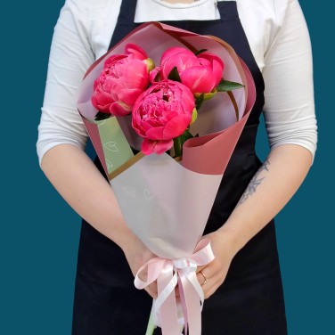 Пионовый привет