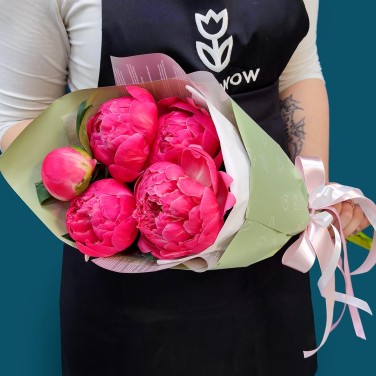 Букет из 5 пионов Корал Шарм