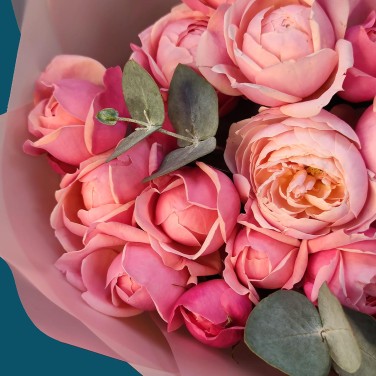 Нежность пионовидных кустовых роз