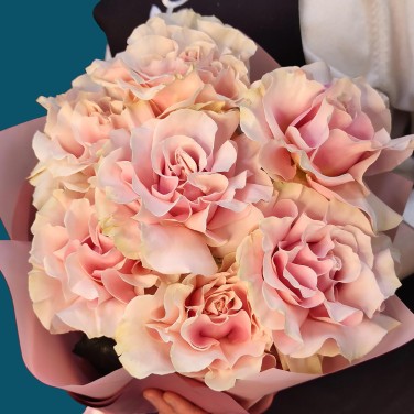 Розовые французские розы в упаковке