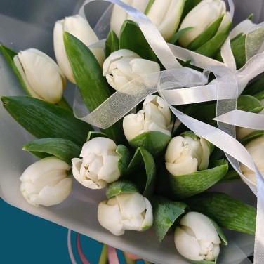 Белый привет из тюльпанов