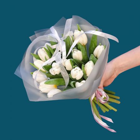 Белый привет из тюльпанов
