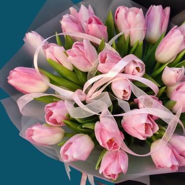 Розовые тюльпаны Весенний сон