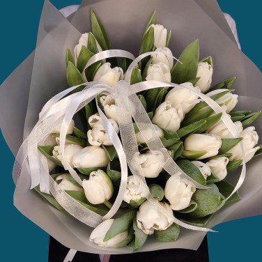 Белые тюльпаны Сказка наяву