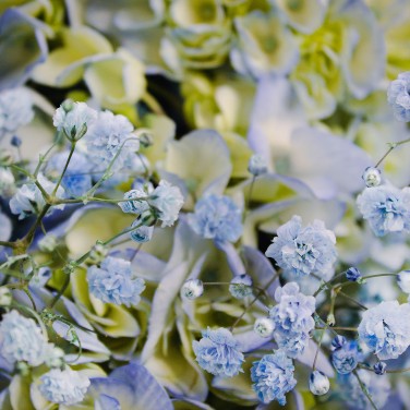 Букет голубых гортензий