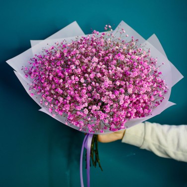 Малиновый закат Букет из гипсофилы