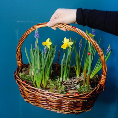 Лесная быль корзина первоцветов