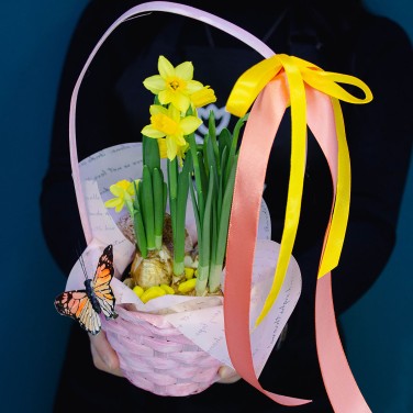 Весенние нарциссы в корзинке