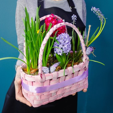 Весенняя корзина с цветущими луковичными