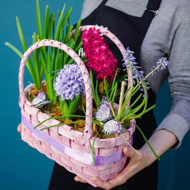 Весенняя корзина с цветущими луковичными