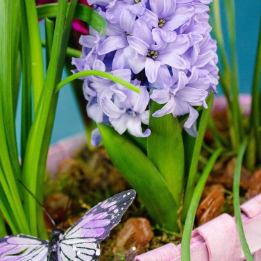 Весенняя корзина с цветущими луковичными