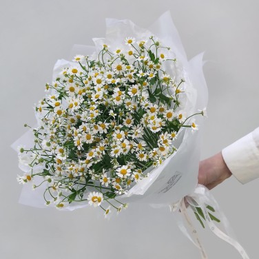 Летность белая букет мелких ромашек