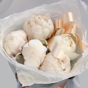 Пионовая нежность