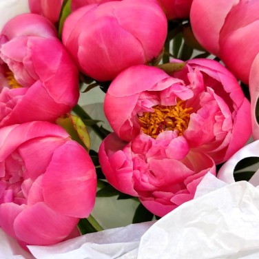 Шарм коралловый букет пионов