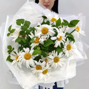 Ромашка белая в букете с упаковкой