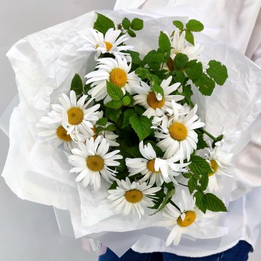 Ромашка белая в букете с упаковкой