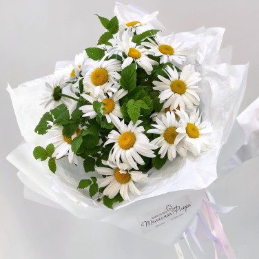 Ромашка белая в букете с упаковкой