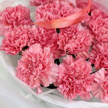 Букет розовых диантусов Румянец