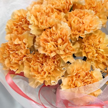 Букет оранжевых диантусов Ясность