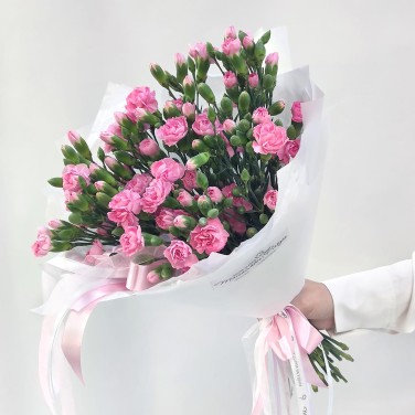 Улыбка Афродиты кустовой диантус