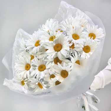 Ромашковая мечта в белом