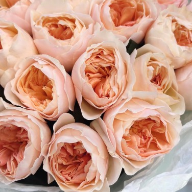 Букет из 25 персиковых пионовидных роз