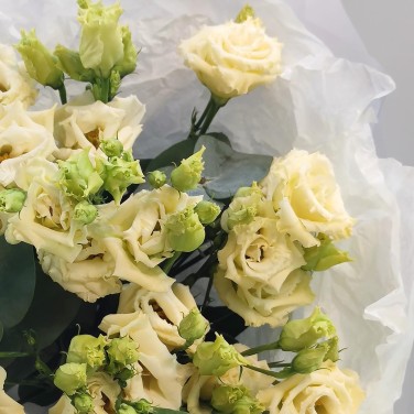 Букет белой эустомы в стильной упаковке